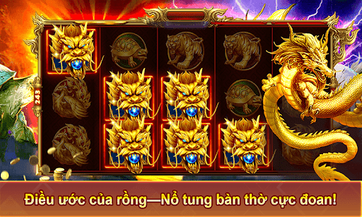 Liên hệ - Kho báu Tứ Linh